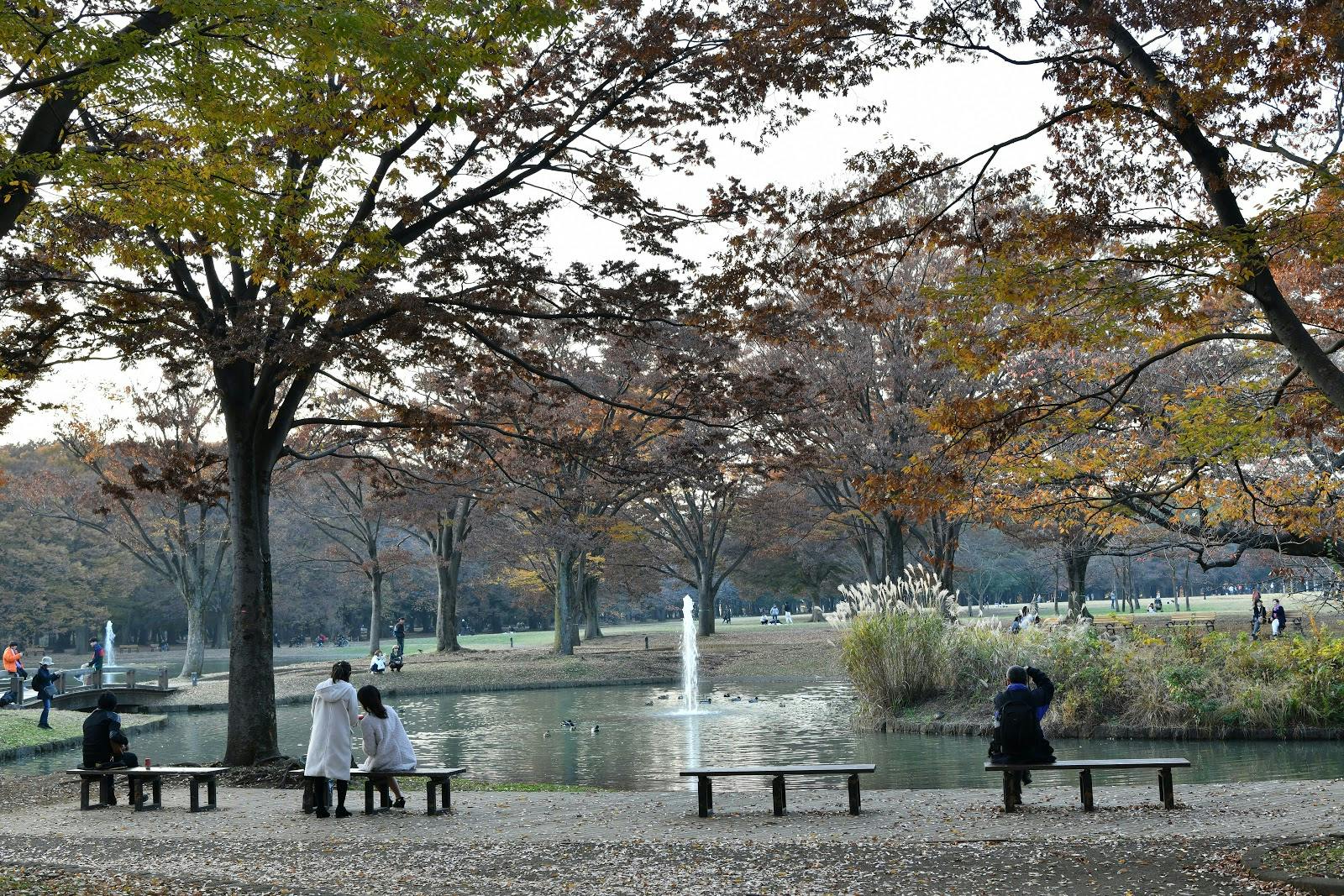 Image - Yoyogi Park