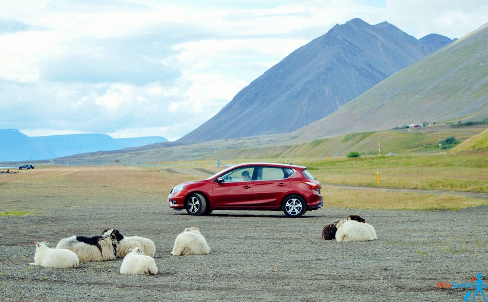Image - Tips for Renting Cars in Iceland