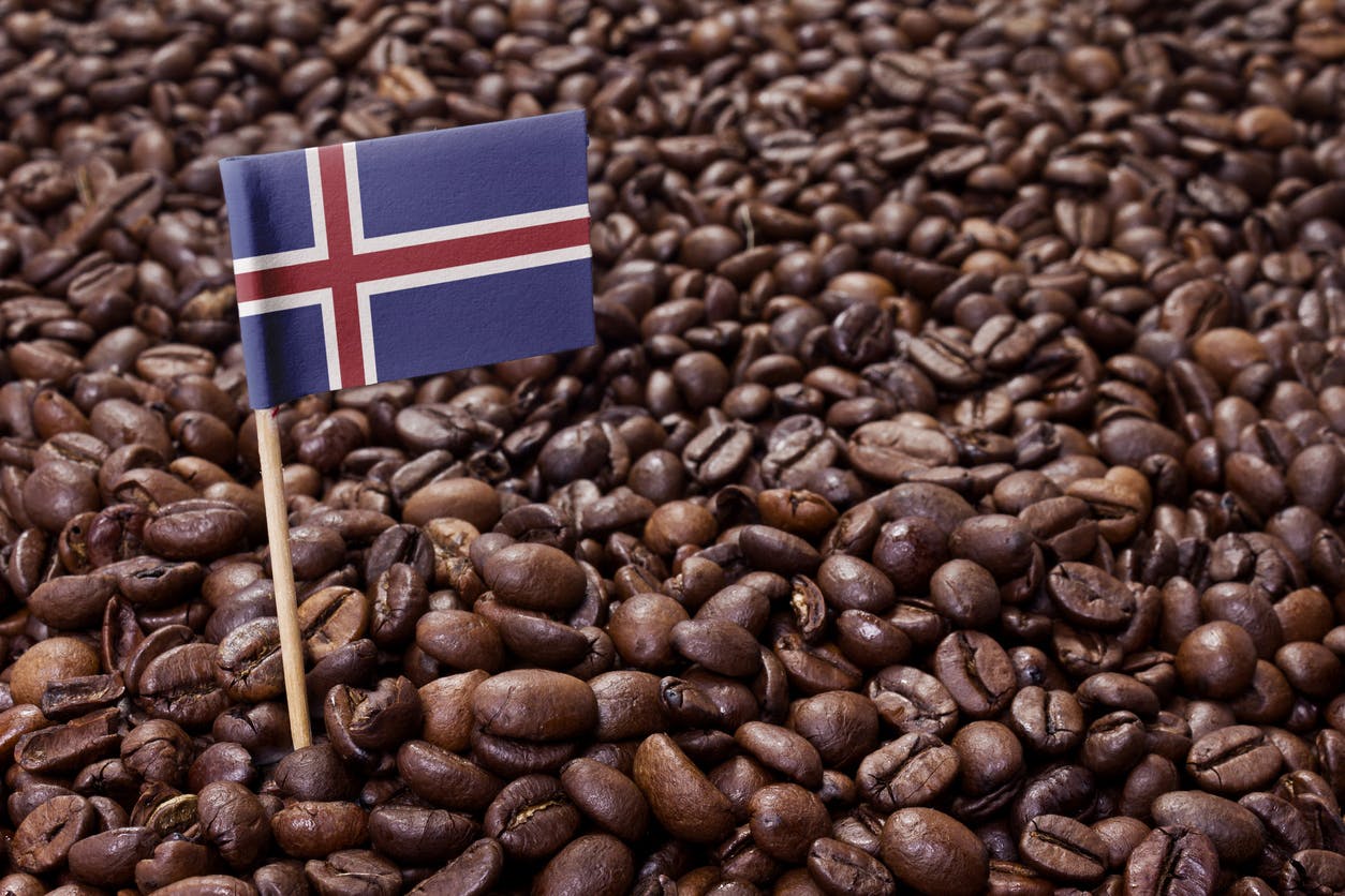 My Favorite Coffee Shops to Work From in Reykjavik