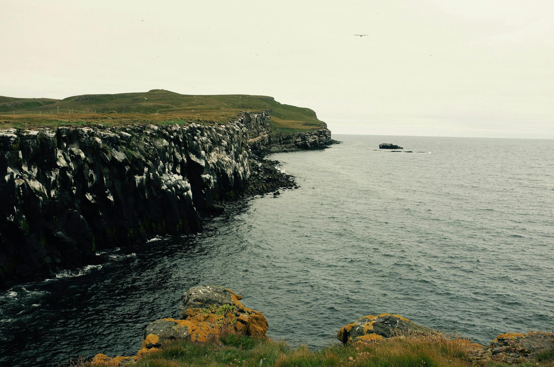 Cliffs on Grímsey island's south coast.