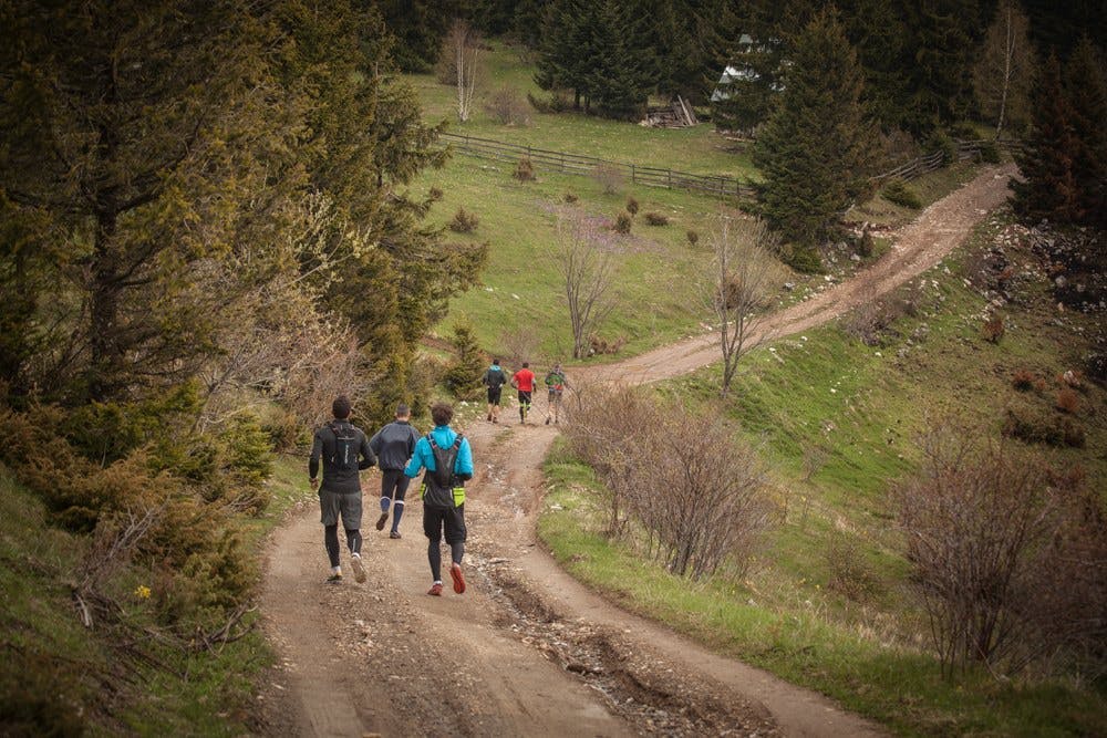 Runners running down a gravel road surrounded by greenery. 