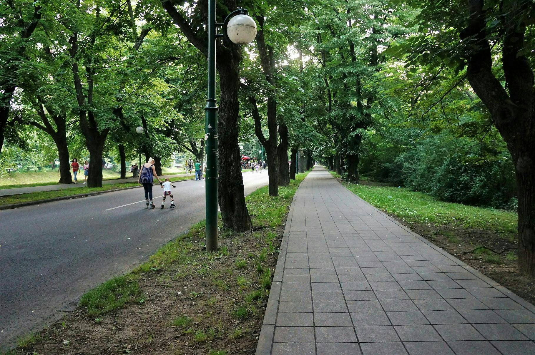 A long pedestrian path surrounded by lush green trees. 