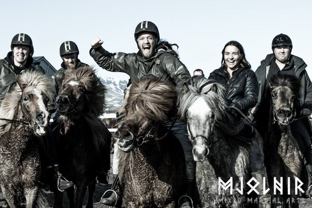 Conor McGregor &co riding Icelandic horses. 