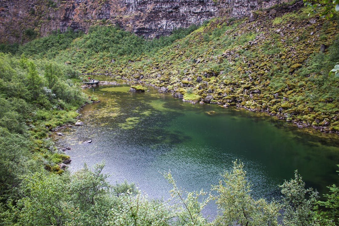 A pond at Ásbyrgi canyon, north Iceland. Birch trees all around. 