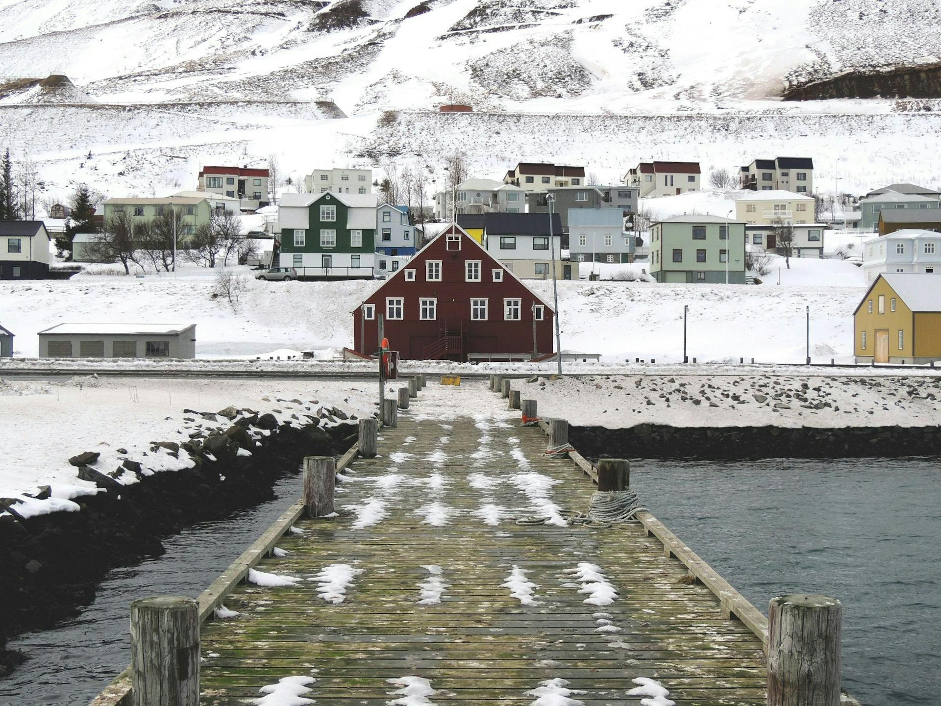 Houses in Siglufjörður on a snowy day. 