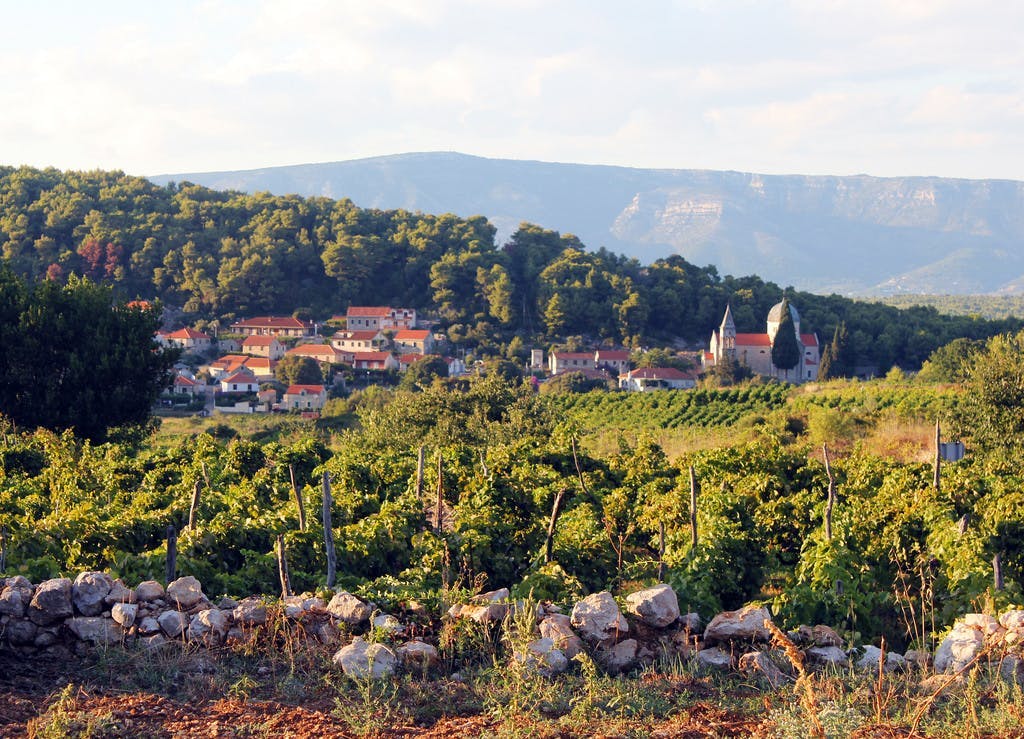 A small village nestled in the vinyards. 