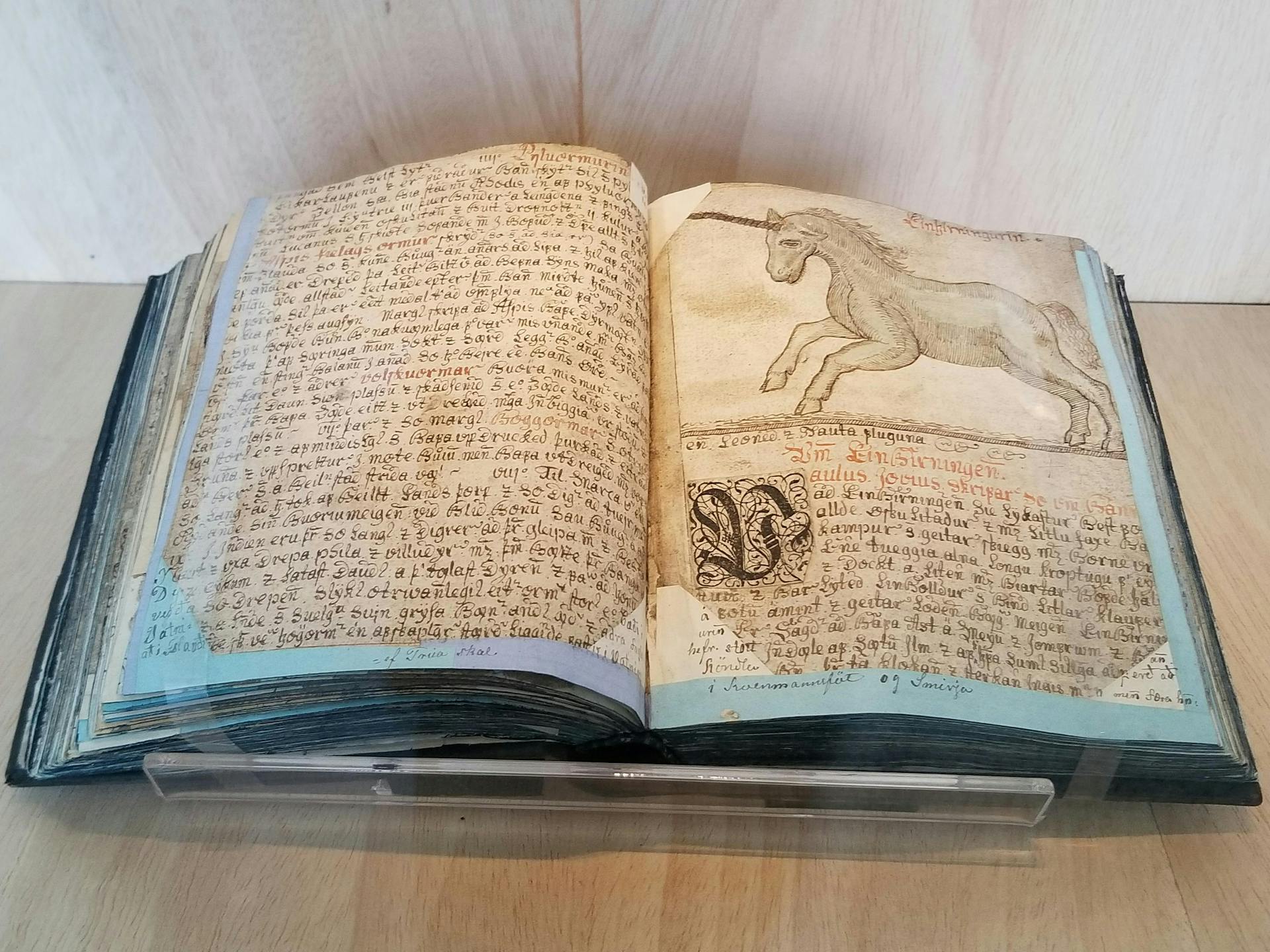 A manuscript with illustration of unicorn