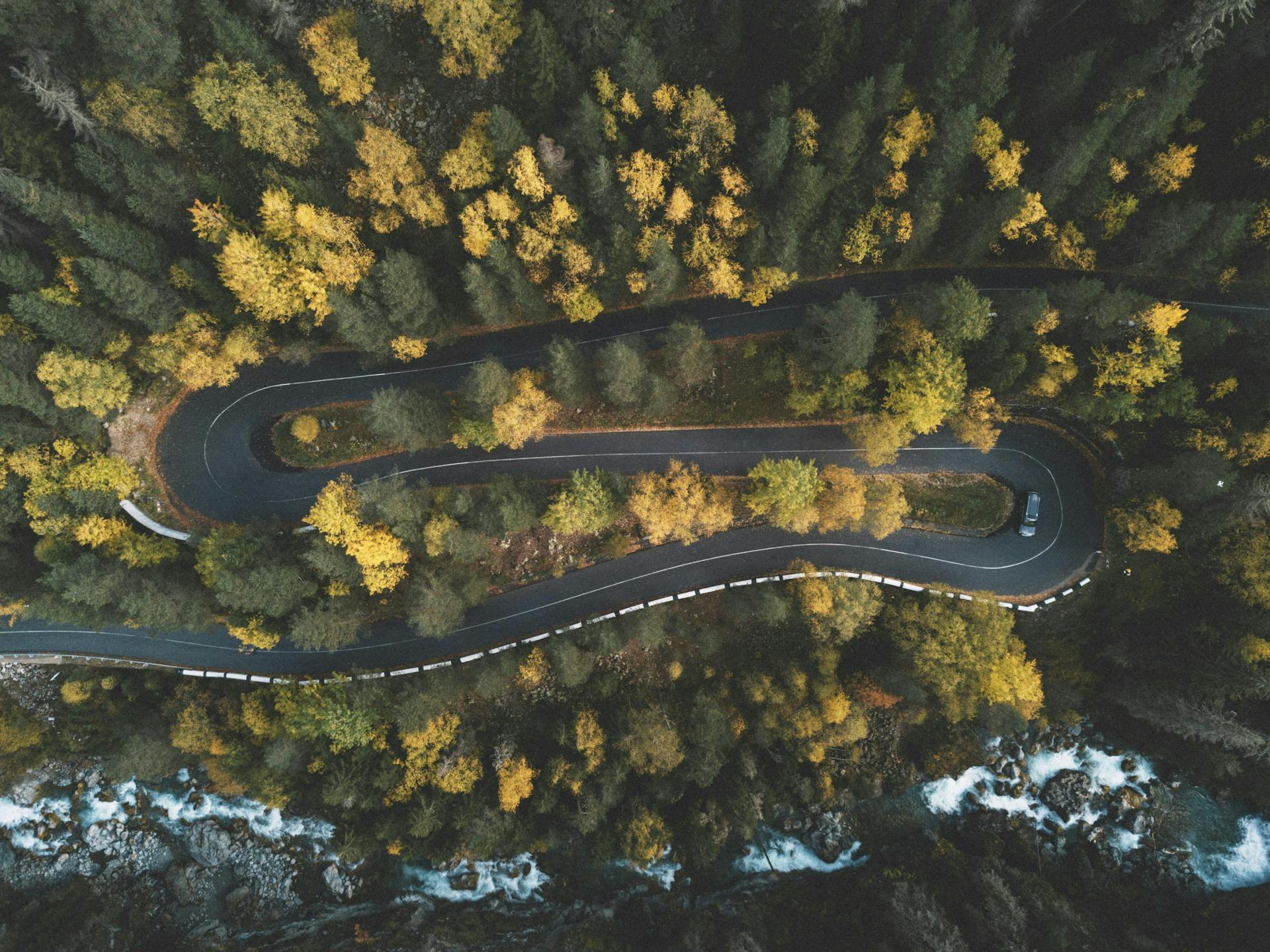 An aerial view of a winding road in a forested area. 