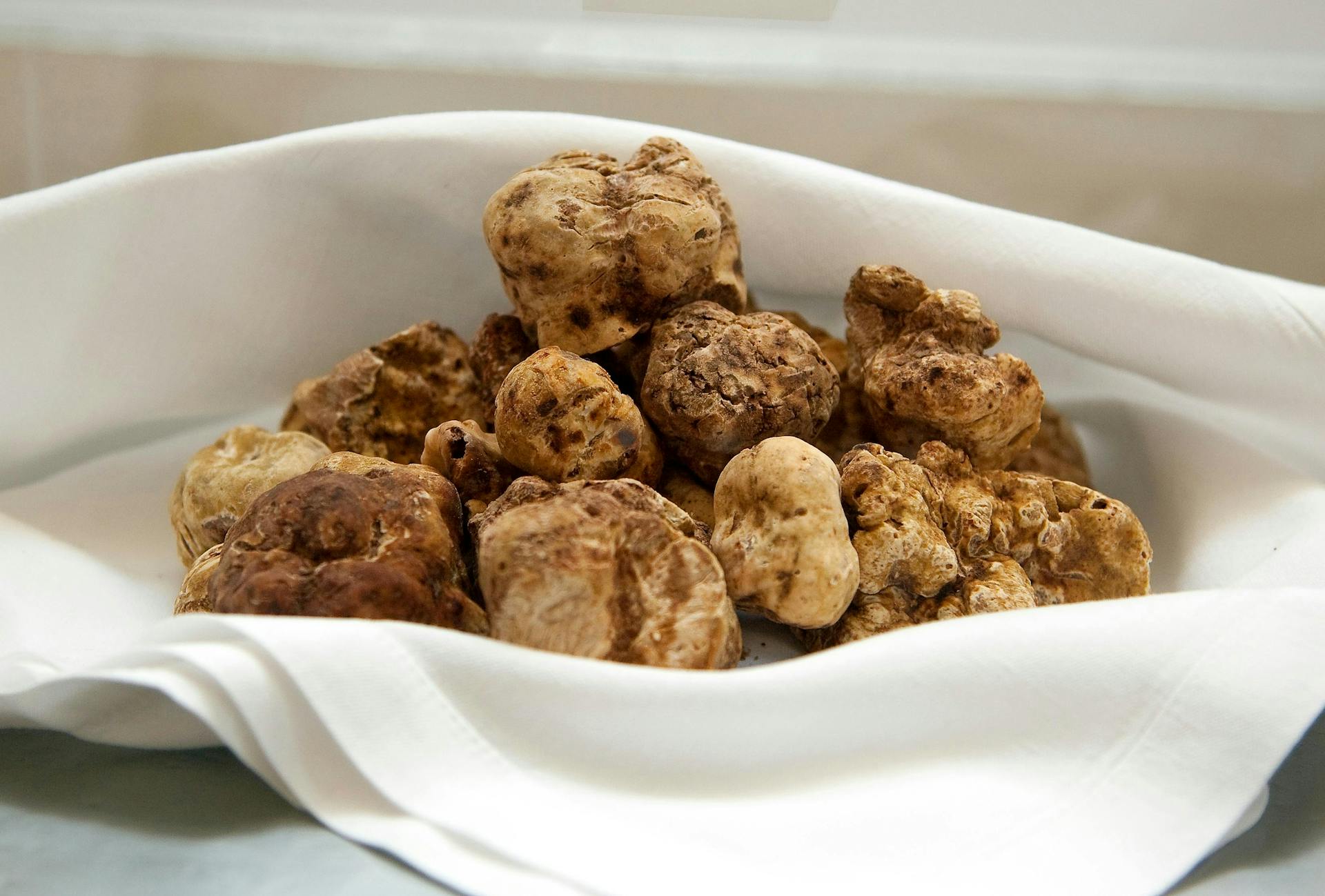 White truffles in a basket. 