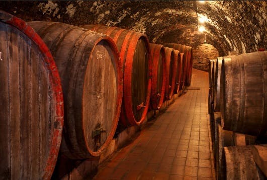Daytour To Bran “Dracula’S” Castle + Peles Castle + Wine Tasting At Azuga Cellar_2075795
