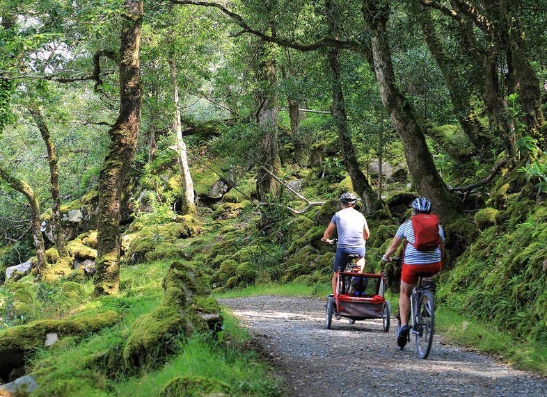 Electric Biking In Glenveagh National Park. Donegal. Self Guided. Half Day._4267148