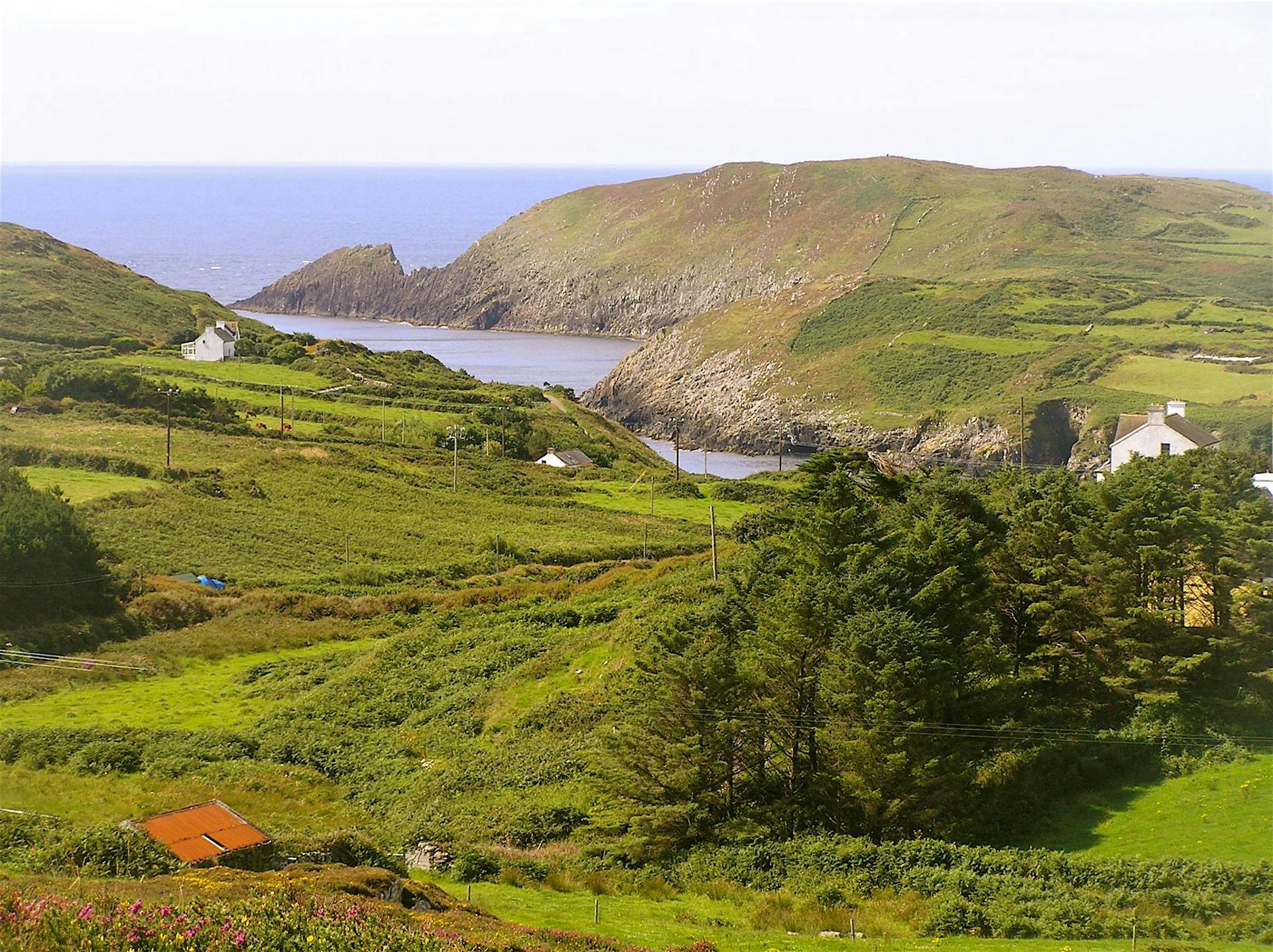 Explore Cape Clear Island. West Cork. Self-Guided. _2317800