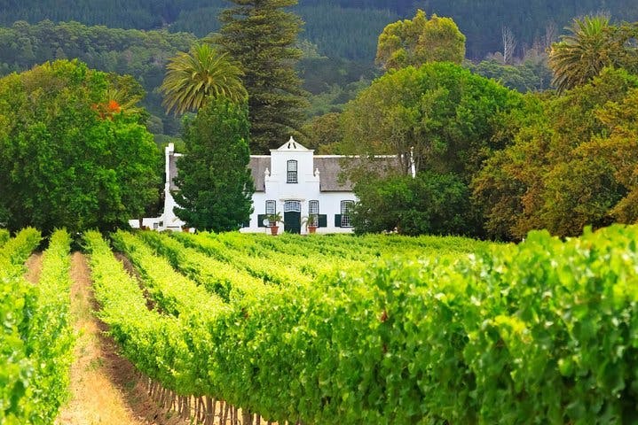 Full Day Private Cape Winelands Tour_886221