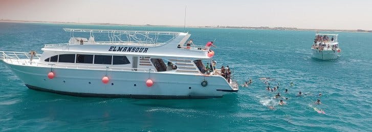 Meet The Dolphins (Hurghada Tour)_2648972