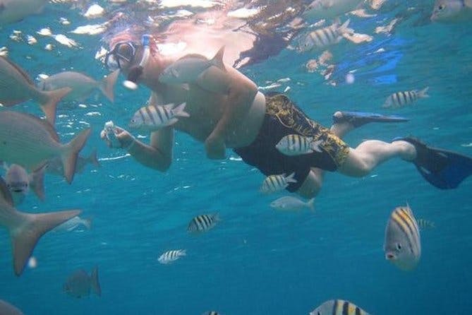 Punta Nizuc Snorkeling Experience In Cancun_251266