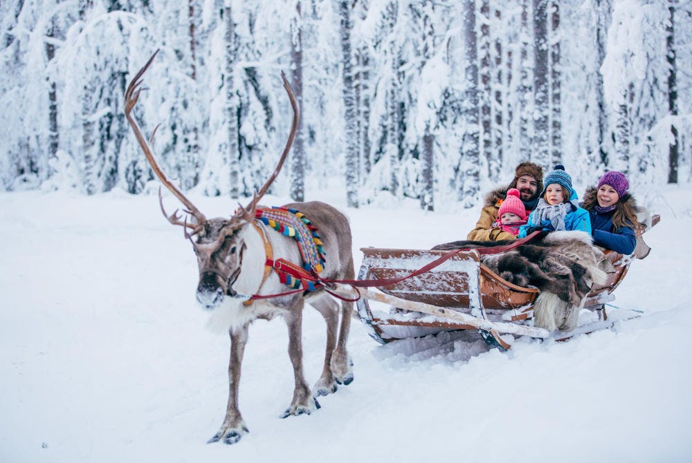 Santa Claus And Reindeer Experience By Snowmobile & Sleigh_192153