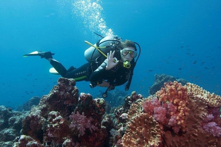 Scuba Diving Experience From Side_2698814