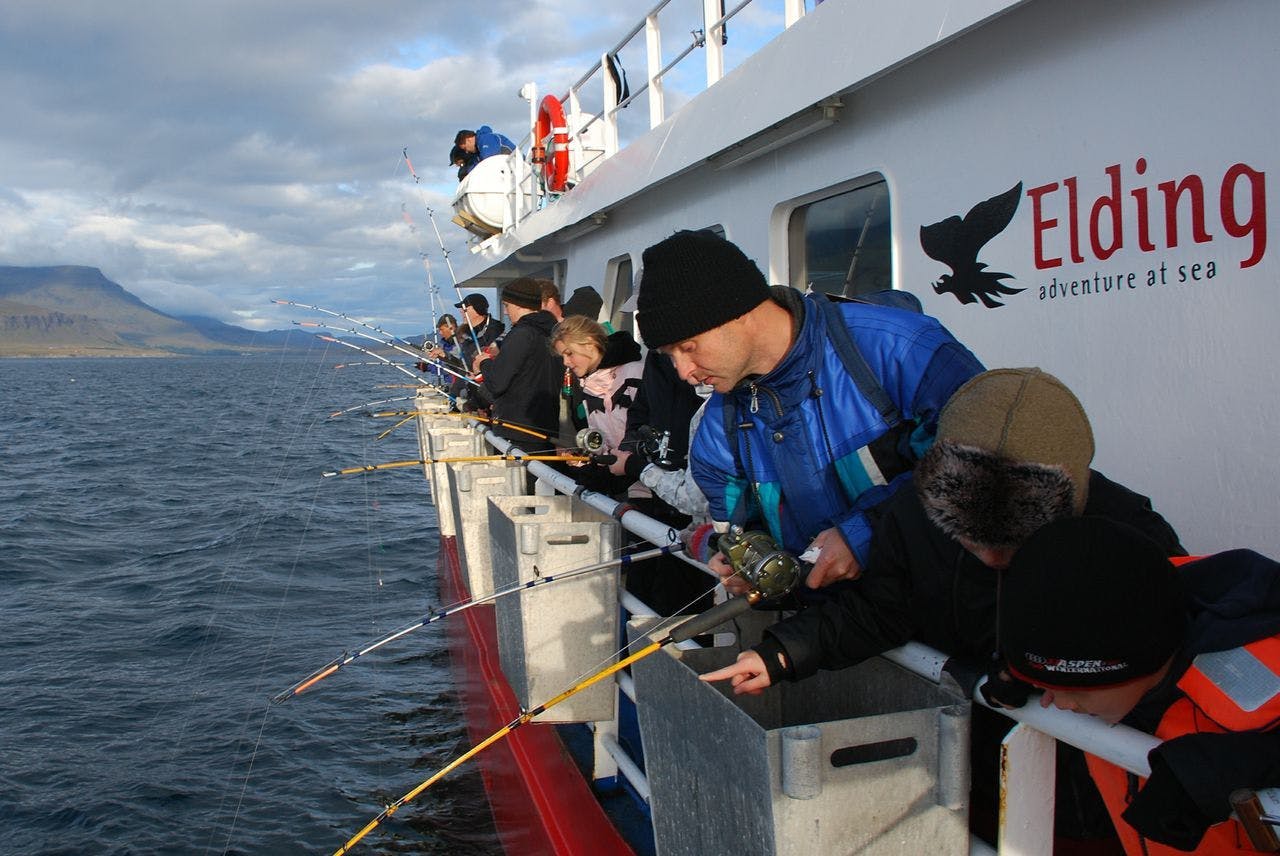 Sea Angling from Reykjavík with a BBQ onboard_11759