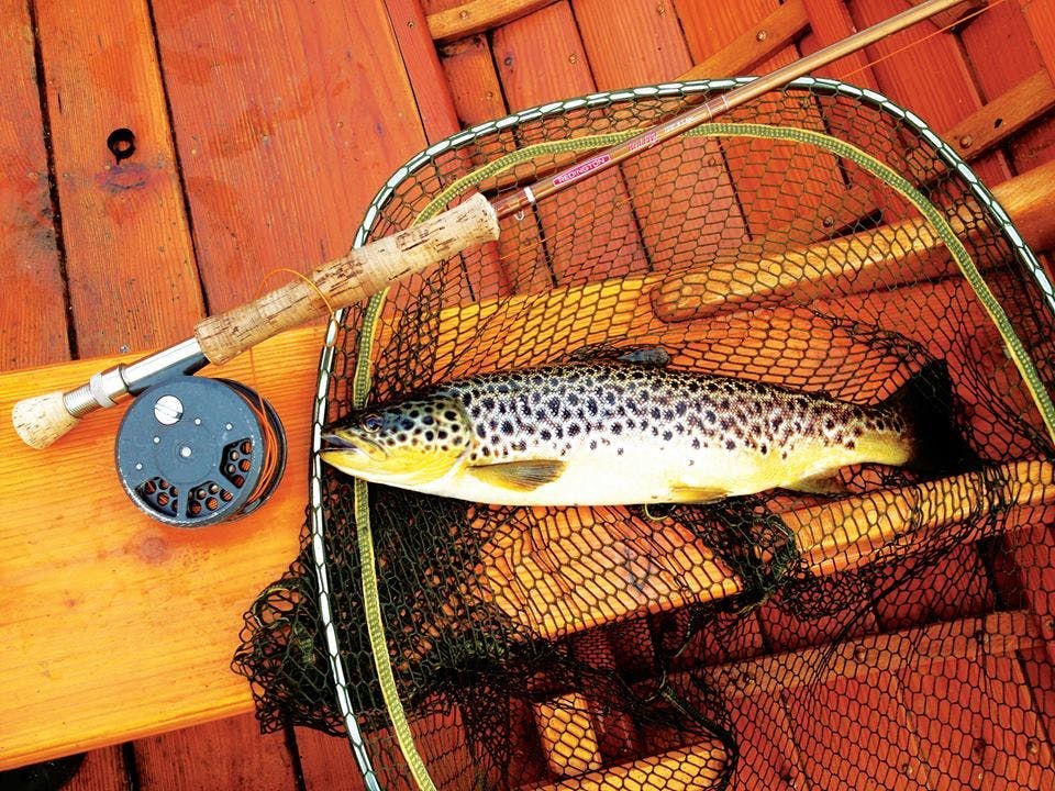 Wild Brown Trout Fishing On Lough Corrib. Galway. Private Guided. Full Day._270043