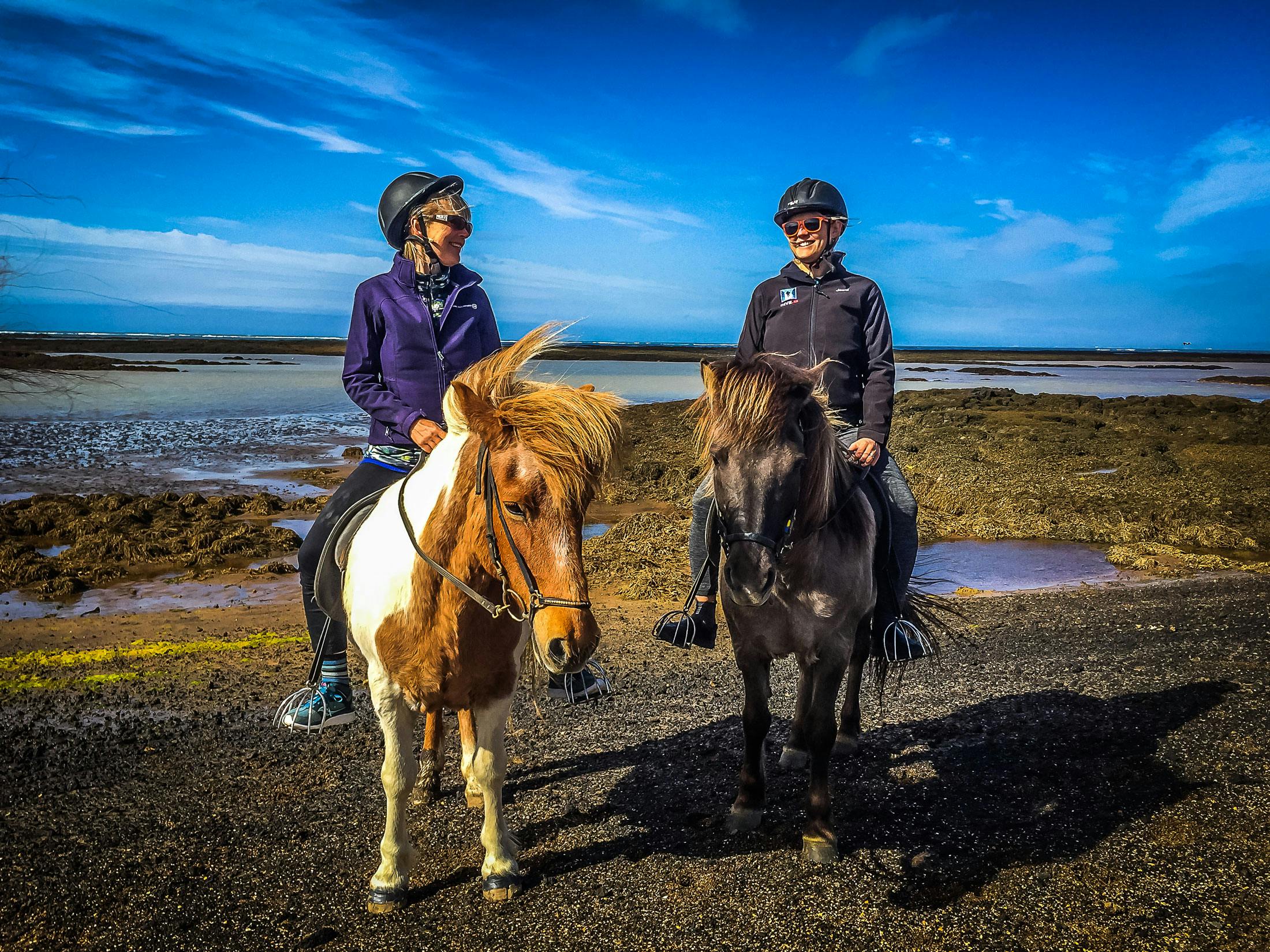 Image - Bakkahestar Horse Riding Tours