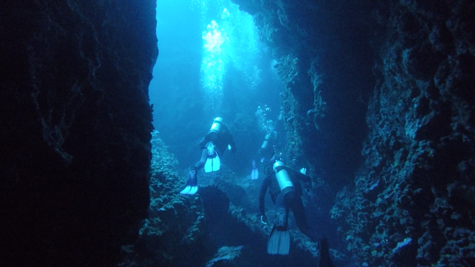 Image - Blue Adventures Diving L.T.D. - Dive Center