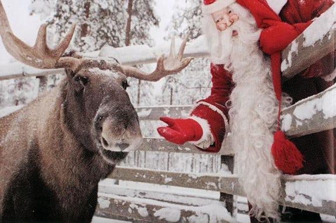 Image - Lapland Ranua Zoo Guided Trip From Rovaniemi With Hotel Transport_448196