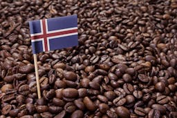 Image - My Favorite Coffee Shops to Work From in Reykjavik