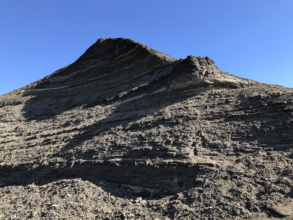 A big hill of fossils. 