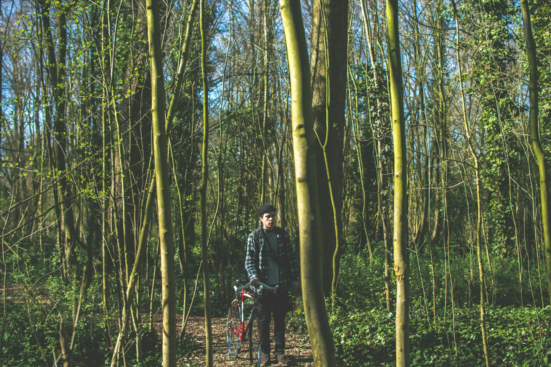 A man with bike in the Amsterdam Forest. 