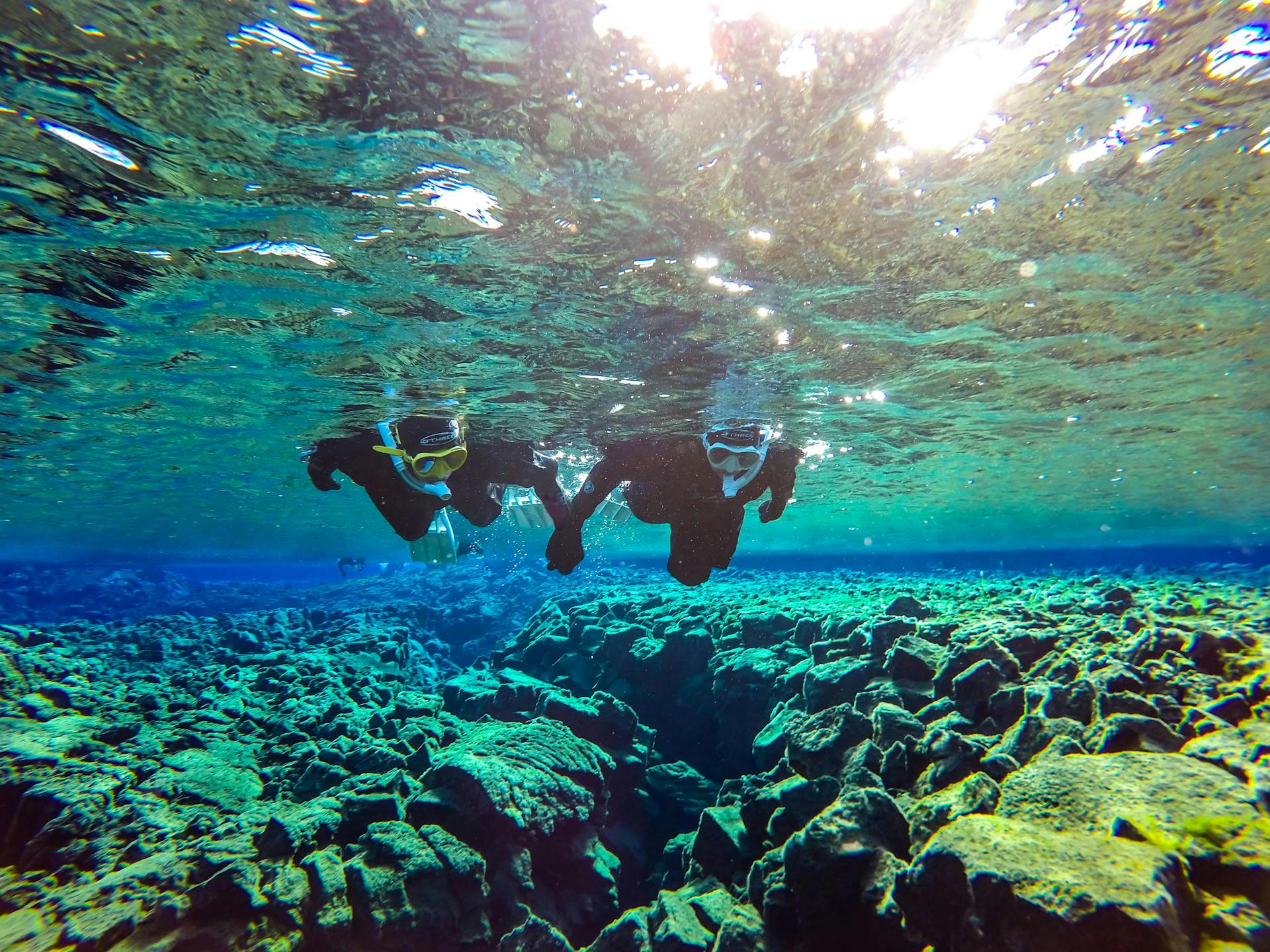 Snorkel Between Continents In Silfra | Free Photos  _116049